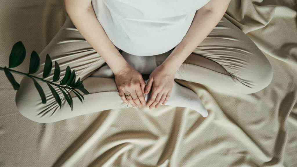 Pregnant woman holds green sprout plant near her belly.